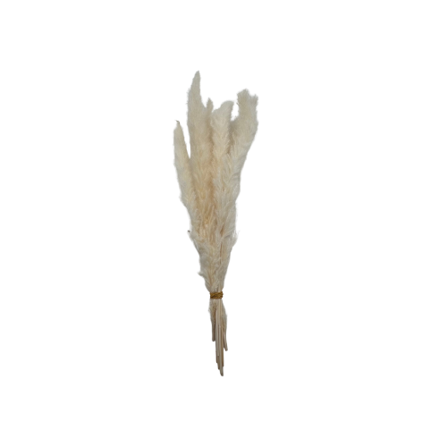 Petit bouquet artificiel fleur de pampa blanche 40 cm 